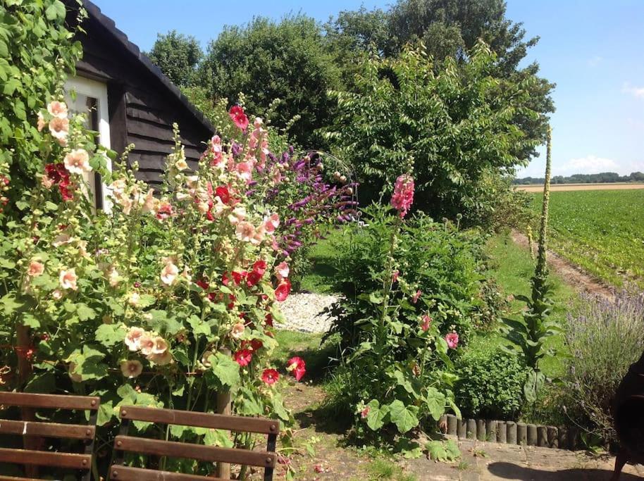 Dijkhuisje Zeeland Waterlandkerkje 外观 照片